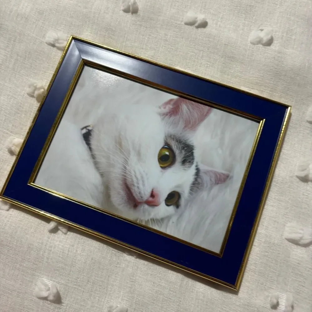 Source Unknown cats handmade